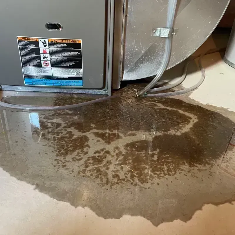 Appliance Leak Cleanup in Tazewell County, IL